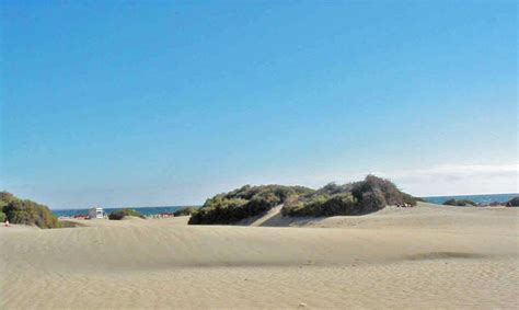 gran canaria nude beach|Dunes of Maspalomas and LGBTQ+ Nude Beach